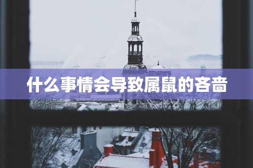 什么事情会导致属鼠的吝啬