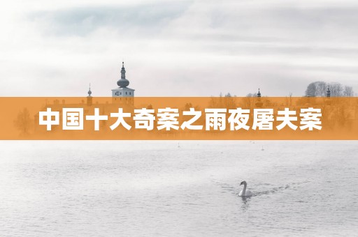 中国十大奇案之雨夜屠夫案
