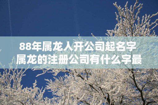 88年属龙人开公司起名字 属龙的注册公司有什么字最好