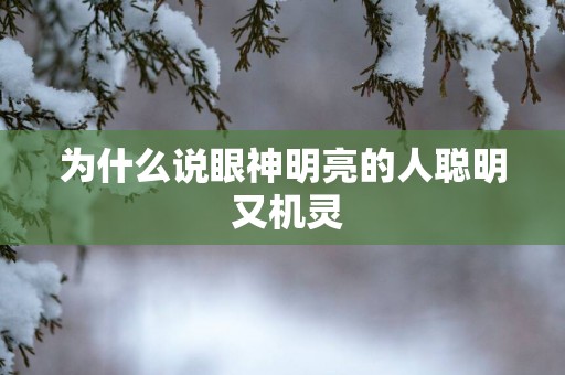为什么说眼神明亮的人聪明 又机灵