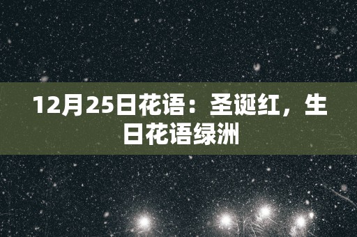 12月25日花语：圣诞红，生日花语绿洲