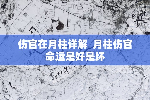 伤官在月柱详解  月柱伤官命运是好是坏