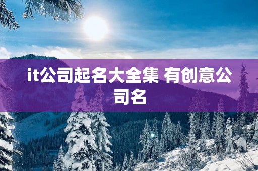 it公司起名大全集 有创意公司名