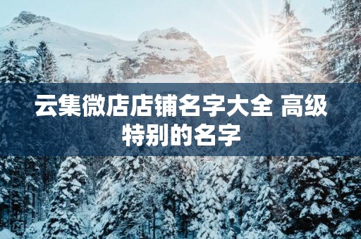 云集微店店铺名字大全 高级特别的名字