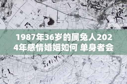 1987年36岁的属兔人2025年感情婚姻如何 单身者会脱单吗