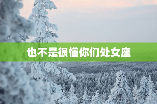 也不是很懂你们处女座