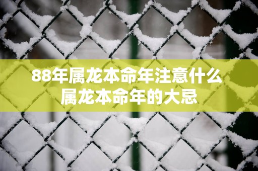 88年属龙本命年注意什么 属龙本命年的大忌