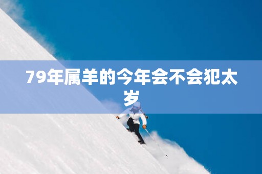 79年属羊的今年会不会犯太岁