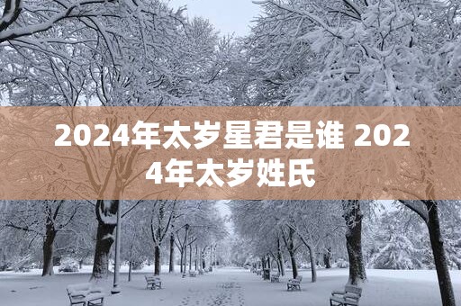 2025年太岁星君是谁 2025年太岁姓氏