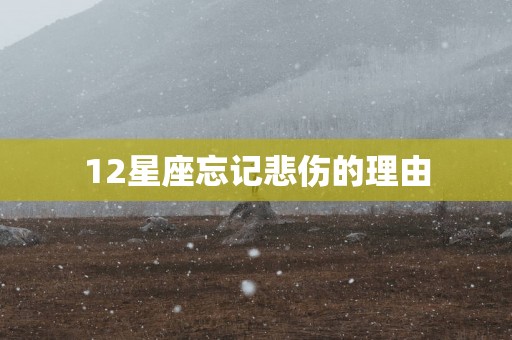12星座忘记悲伤的理由