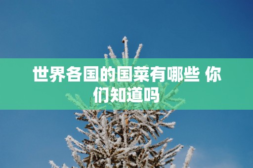 世界各国的国菜有哪些 你们知道吗