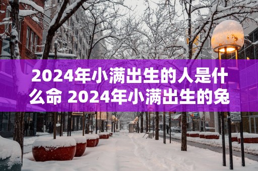 2025年小满出生的人是什么命 2025年小满出生的兔子好吗