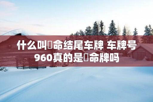 什么叫絶命结尾车牌 车牌号960真的是絶命牌吗