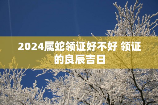 2025属蛇领证好不好 领证的良辰吉日