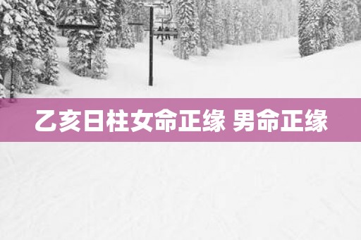 乙亥日柱女命正缘 男命正缘
