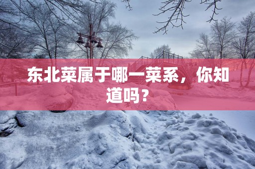 东北菜属于哪一菜系，你知道吗？