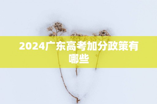2025广东高考加分政策有哪些
