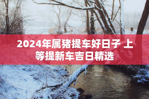 2025年属猪提车好日子 上等提新车吉日精选