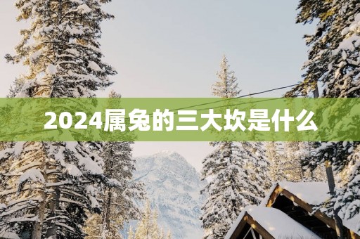 2025属兔的三大坎是什么