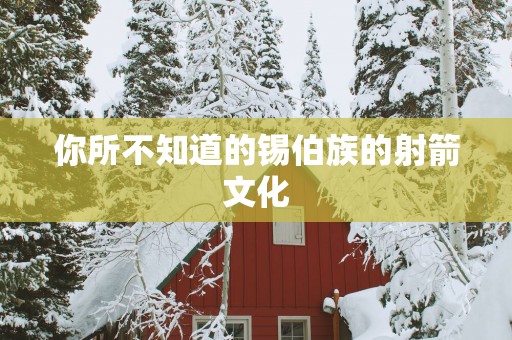 你所不知道的锡伯族的射箭文化