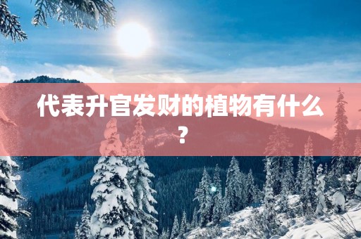 代表升官发财的植物有什么？
