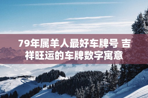 79年属羊人最好车牌号 吉祥旺运的车牌数字寓意
