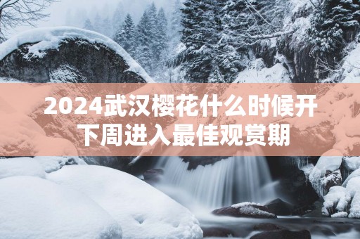 2025武汉樱花什么时候开 下周进入最佳观赏期