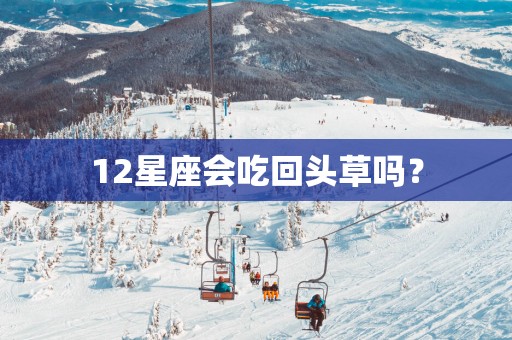 12星座会吃回头草吗？