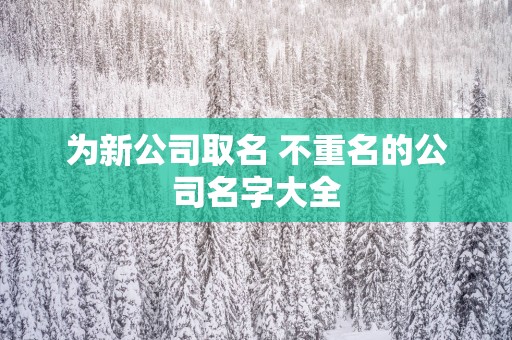 为新公司取名 不重名的公司名字大全