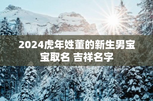 2025蛇年姓董的新生男宝宝取名 吉祥名字