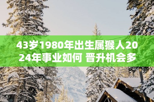 43岁1980年出生属猴人2025年事业如何 晋升机会多