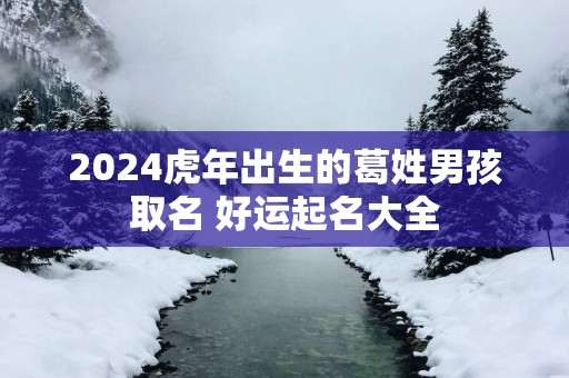 2025蛇年出生的葛姓男孩取名 好运起名大全