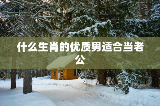 什么生肖的优质男适合当老公