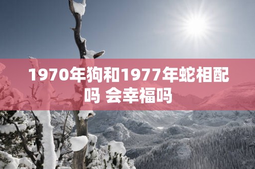 1970年狗和1977年蛇相配吗 会幸福吗
