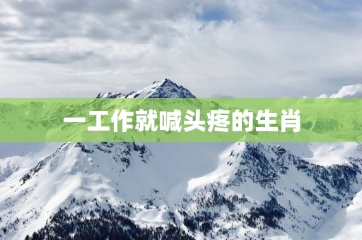 一工作就喊头疼的生肖