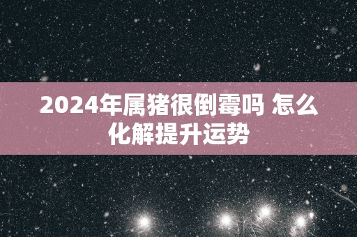 2025年属猪很倒霉吗 怎么化解提升运势