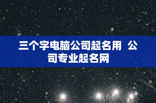 三个字电脑公司起名用  公司专业起名网
