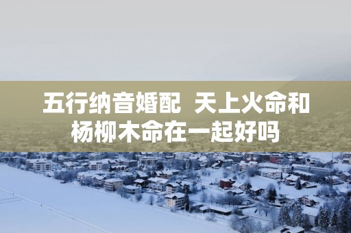 五行纳音婚配  天上火命和杨柳木命在一起好吗