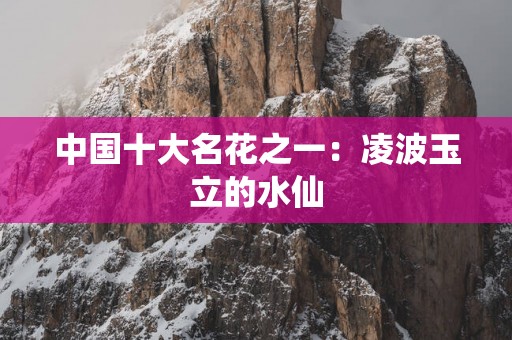 中国十大名花之一：凌波玉立的水仙