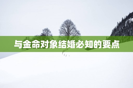 与金命对象结婚必知的要点