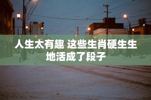人生太有趣 这些生肖硬生生地活成了段子