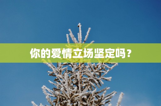 你的爱情立场坚定吗？