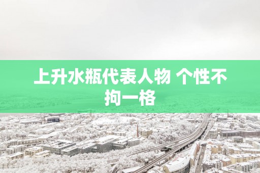 上升水瓶代表人物 个性不拘一格