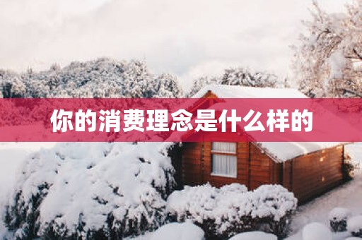 你的消费理念是什么样的