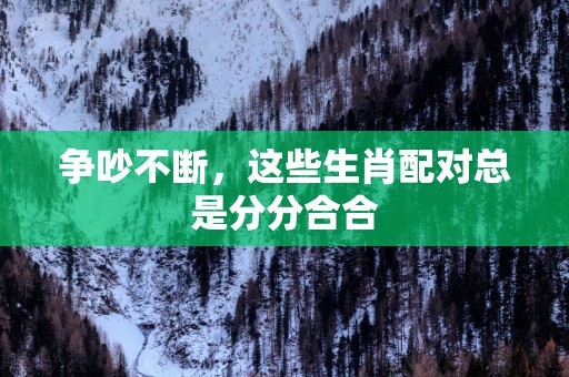 争吵不断，这些生肖配对总是分分合合