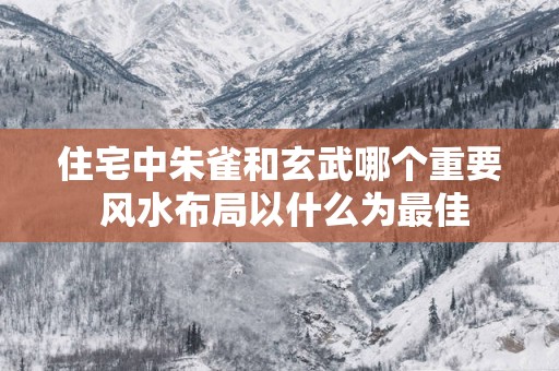 住宅中朱雀和玄武哪个重要 风水布局以什么为最佳