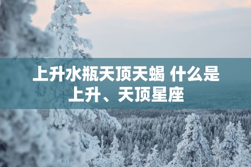 上升水瓶天顶天蝎 什么是上升、天顶星座