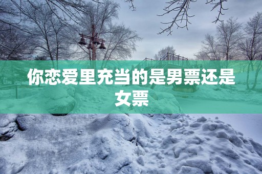 你恋爱里充当的是男票还是女票