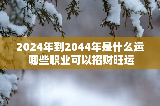 2025年到2044年是什么运 哪些职业可以招财旺运