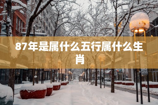87年是属什么五行属什么生肖